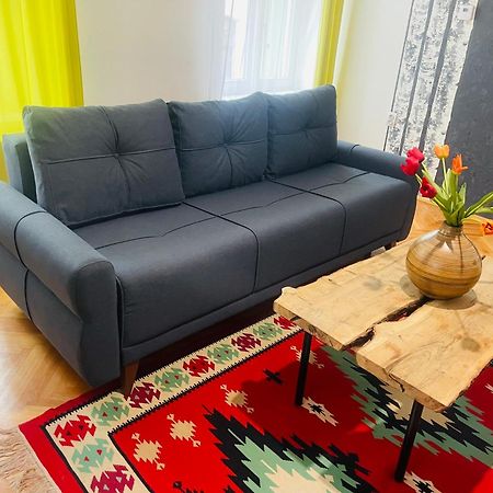 Spacious Stylish Apartment In Old Town Sibiu Bagian luar foto